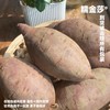 [最农公社]双拼5A糯金莎(红薯/紫薯)免洗恒温糖化红薯买4斤送0.5斤实发4.5斤 商品缩略图9