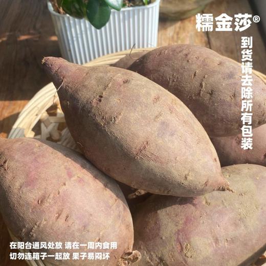 [最农公社]双拼5A糯金莎(红薯/紫薯)免洗恒温糖化红薯买4斤送0.5斤实发4.5斤 商品图9