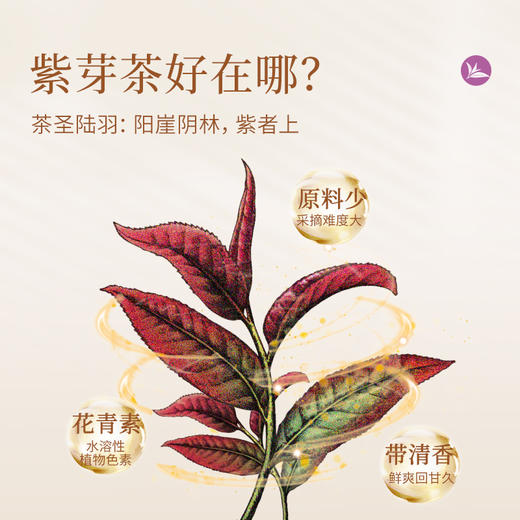 澜沧古茶2025年紫焱红工夫红茶礼盒装160g（5g*32） 商品图1
