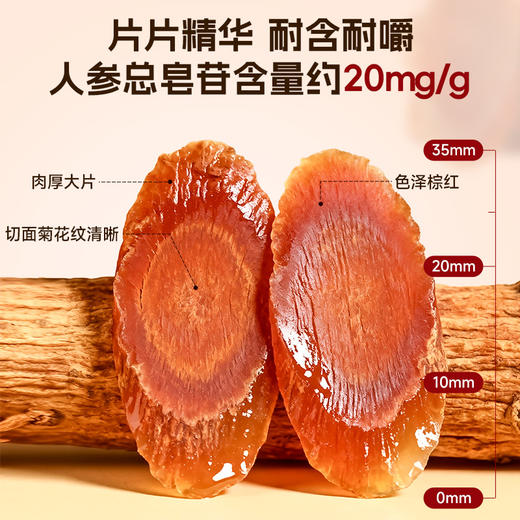 即食红参片  5片/盒 商品图1