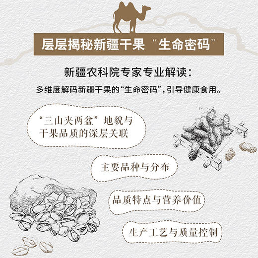 新疆干果：丝绸之路上的传奇 商品图2