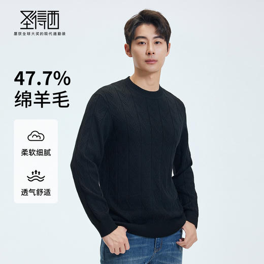 【门店同款】圣得西2025年秋冬季毛衫含绵羊毛柔软细腻圆领针织衫 商品图0