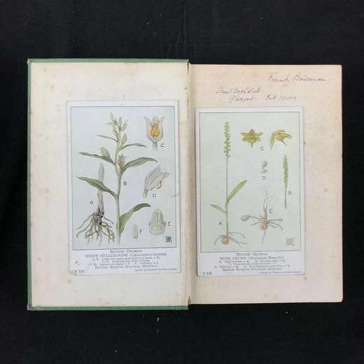 1904年 达尔文《兰花借助昆虫传粉的各种巧妙构造》 38幅木版画插图 漆布精装32开 商品图2