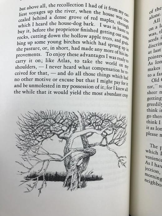 限量版！含藏书票 亨利・D・梭罗《瓦尔登湖》配插图 富兰克林图书馆豪华皮装本 商品图10