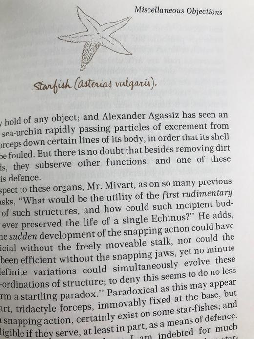 限量版！含藏书票 查尔斯・达尔文《物种起源》 配插图 富兰克林图书馆豪华皮装本 商品图11