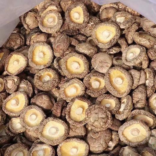【ZCWJ】干香菇 农家精选品质 商品图1