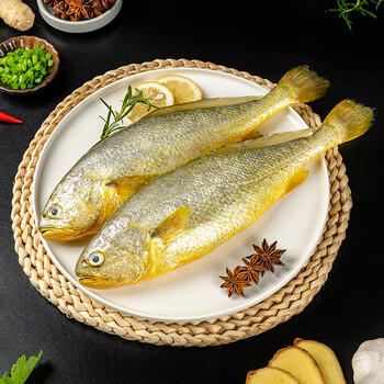 三都港 冷冻黄花鱼净重600g/2条装 宁德大黄鱼 海鱼 生鲜鱼类 海鲜水产 商品图5