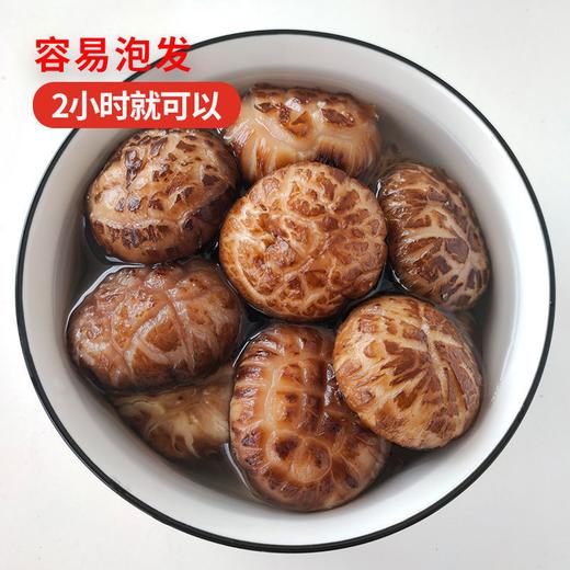 【九九年】西峡大花菇无根干货农家特产冬菇 半斤或者1斤装 商品图3