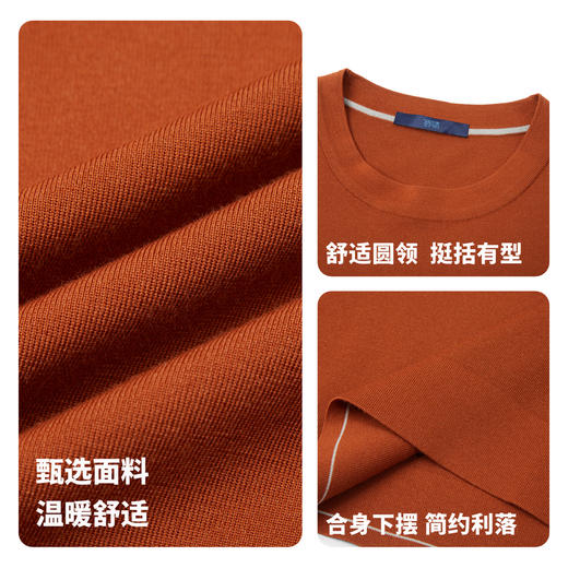 【门店同款&含绵羊毛】圣得西2025年冬季毛衫青年男可机洗针织衫 商品图4