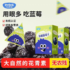 妙伯乐有机蓝莓干100g 商品缩略图1