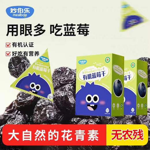 妙伯乐有机蓝莓干100g 商品图1