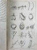 1833年 英国植物系统分类 10页版画插图 漆布精装32开 商品缩略图4