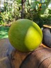 【生态种植云南青柚】口感清甜 水分饱满 好吃健康 生态种植无黑科技柚子！外观丑丑的介意慎拍 商品缩略图13