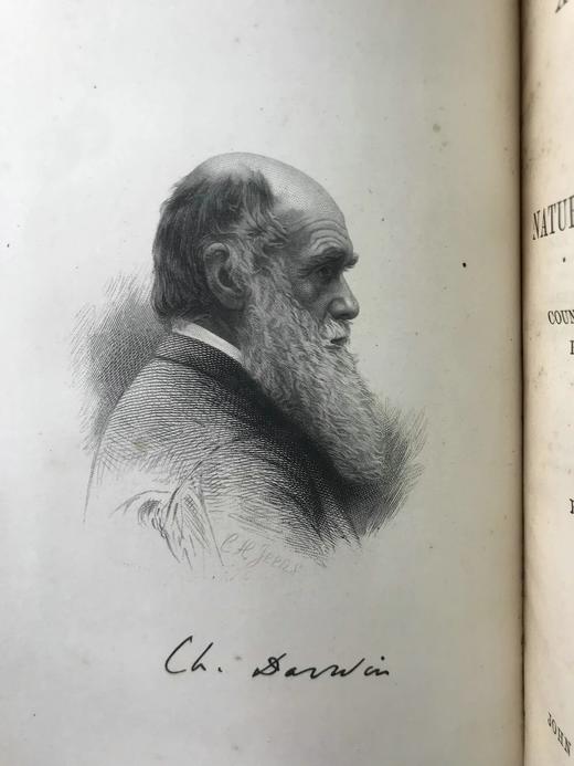 1889年 达尔文《比格尔号环球航行日记》 配插图 漆布精装32开 商品图4