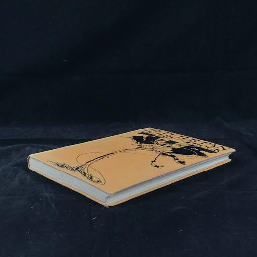 1930年 彼得·潘图画书  女画家Alice B. Woodward10余幅彩色手工贴图 漆布精装18开 商品图1