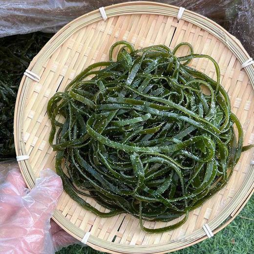 【ZCWJ】钱大新盐渍海带丝1.3kg/件 商品图2