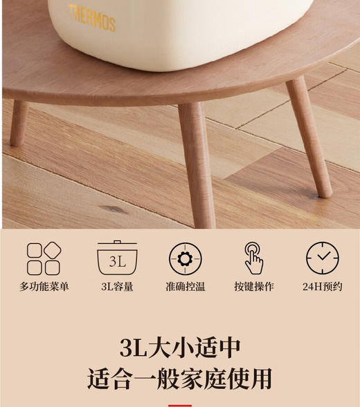 膳魔师电饭锅(电饭煲)香槟金EHA-4130A-CG 商品图1