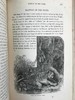 约19世纪后期 自然罗曼司 约百幅木版画插图 漆布精装大32开 商品缩略图11