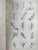 1833年 英国植物系统分类 10页版画插图 漆布精装32开 商品缩略图5