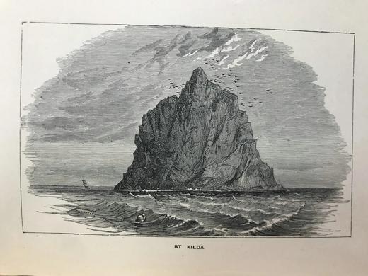 工坊特装本！1893年 自然的奇迹：异国奇景图录 21幅版画插图 全真皮精装64开 商品图11