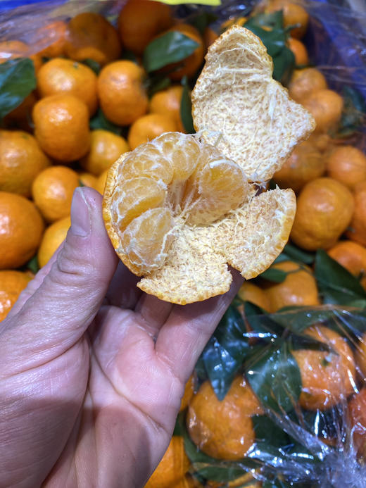 宏丰精选 砂糖橘新鲜到货，带叶果，很新鲜，口感很好，活动价4.8元一斤 商品图3