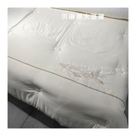 贝琳德大豆拉链子母被