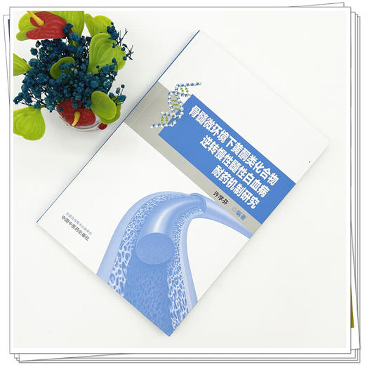 骨髓微环境下黄酮类化合物逆转慢性髓性白血病耐药机制研究 许学芬 编著 中国中医药出版社 商品图1