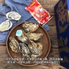 2025乳山生蚝#正宗乳山生蚝，地标防伪码等授权齐全，上汽后煮4分钟为佳，请注意看售前须知~ 商品缩略图3