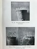1930年 伍德黑德《植物研究》 数百幅插图 漆布精装32开 商品缩略图9