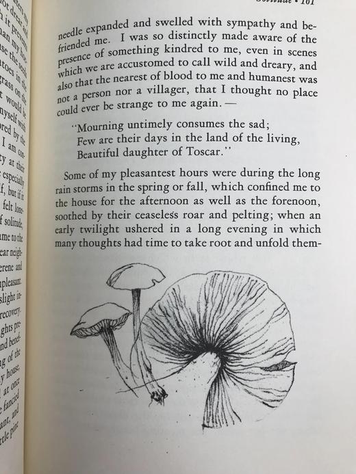 限量版！含藏书票 亨利・D・梭罗《瓦尔登湖》配插图 富兰克林图书馆豪华皮装本 商品图6