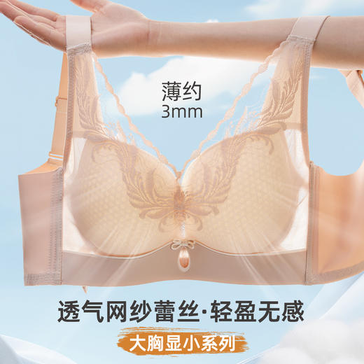 雅黛俪大胸显小显瘦女士内衣轻薄透气性感蕾丝网纱提拉收副乳文胸罩 商品图2