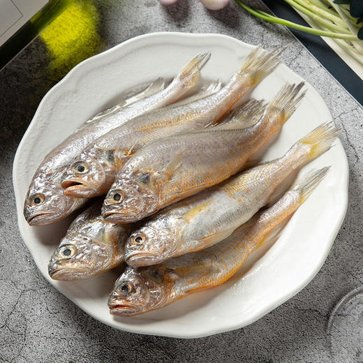 【自营】鲜到鲜得 海鲜礼盒 26海鲜礼盒K1款1650g 商品图4