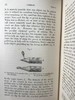 1904年 达尔文《兰花借助昆虫传粉的各种巧妙构造》 38幅木版画插图 漆布精装32开 商品缩略图14