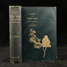 1906年 动物园生活 16幅插图 漆布精装32开