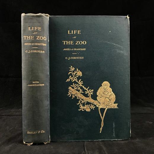 1906年 动物园生活 16幅插图 漆布精装32开 商品图0