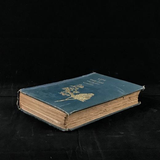 1906年 动物园生活 16幅插图 漆布精装32开 商品图1