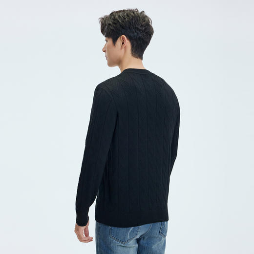 【门店同款】圣得西2025年秋冬季毛衫含绵羊毛柔软细腻圆领针织衫 商品图3