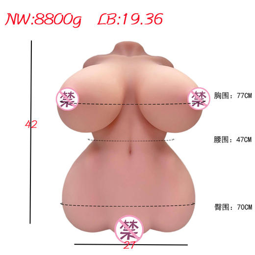 中型倒模（创新*乳洞可插入） 商品图6