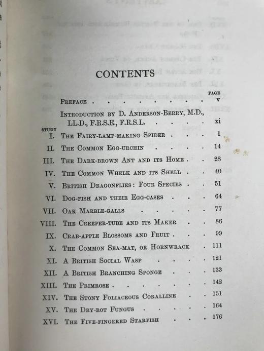 1910年 康诺尔德《自然之域拾珍》 26幅插图 真皮精装32开 商品图5