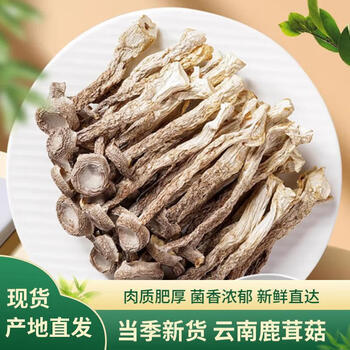 沛沛佳 鹿茸菇干货500g 云南特产煲汤炒菜火锅食用 源头直发 /粮油调味 /南北干货 /菌菇干货 商品图7