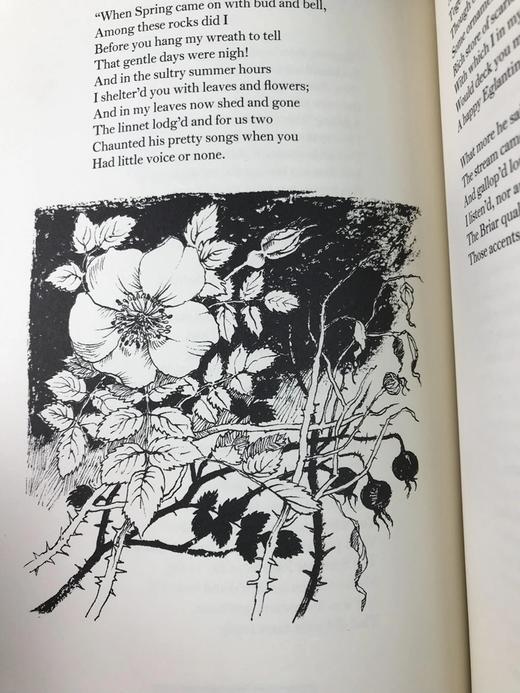 限量版！威廉・华兹华斯、 柯勒律治《抒情歌谣集》 配插图 富兰克林图书馆豪华皮装本 商品图7