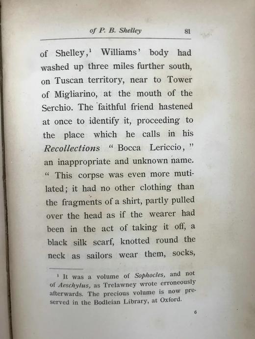 1898年 雪莱的最后时光 19幅插图 漆布精装32开 商品图14