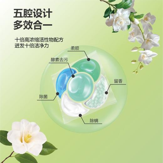 白蘭5D香氛洗衣凝珠 商品图6