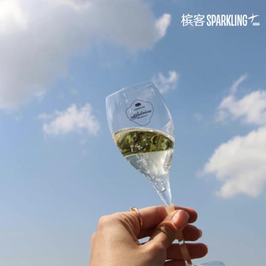 Autréau de Champillon Brut Réserve Grand Cru 沃雷奥珍藏特级村干型香槟 商品图2