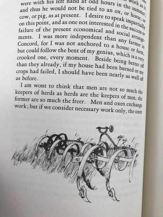 限量版！含藏书票 亨利・D・梭罗《瓦尔登湖》配插图 富兰克林图书馆豪华皮装本 商品图11