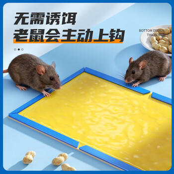 绿叶（Green Leaf）粘鼠板50张/箱 小超人老鼠粘板强效胶黏老鼠贴耗子粘板企业装 商品图0