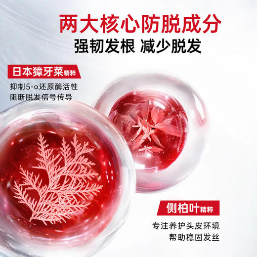 【中欧班列精选】日本进口 hm卡蓓诺 强韧防脱洗发水350mL 商品图1