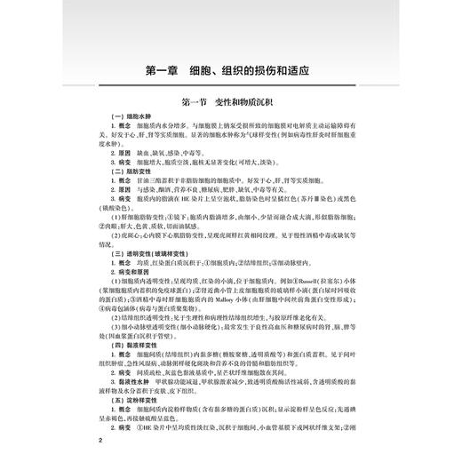2026病理学 全国卫生专业技术资格考试指导 全国卫生专业技术资格考试用书编写专家委员会编写 病理学(中级) 351 人民卫生出版社 商品图4