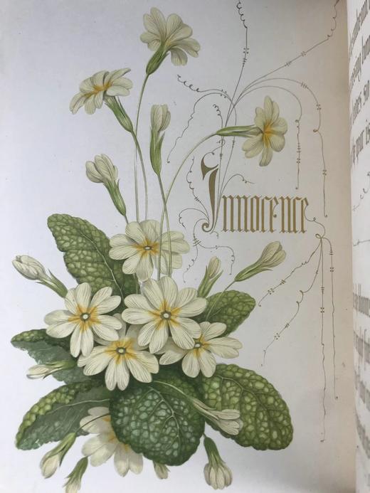 1848年 欧文琼斯 花朵与它们的千思万绪 10余幅精美套色版画 皮革浮雕艺术装帧精装16开 商品图5