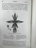 1904年 达尔文《兰花借助昆虫传粉的各种巧妙构造》 38幅木版画插图 漆布精装32开 商品缩略图13